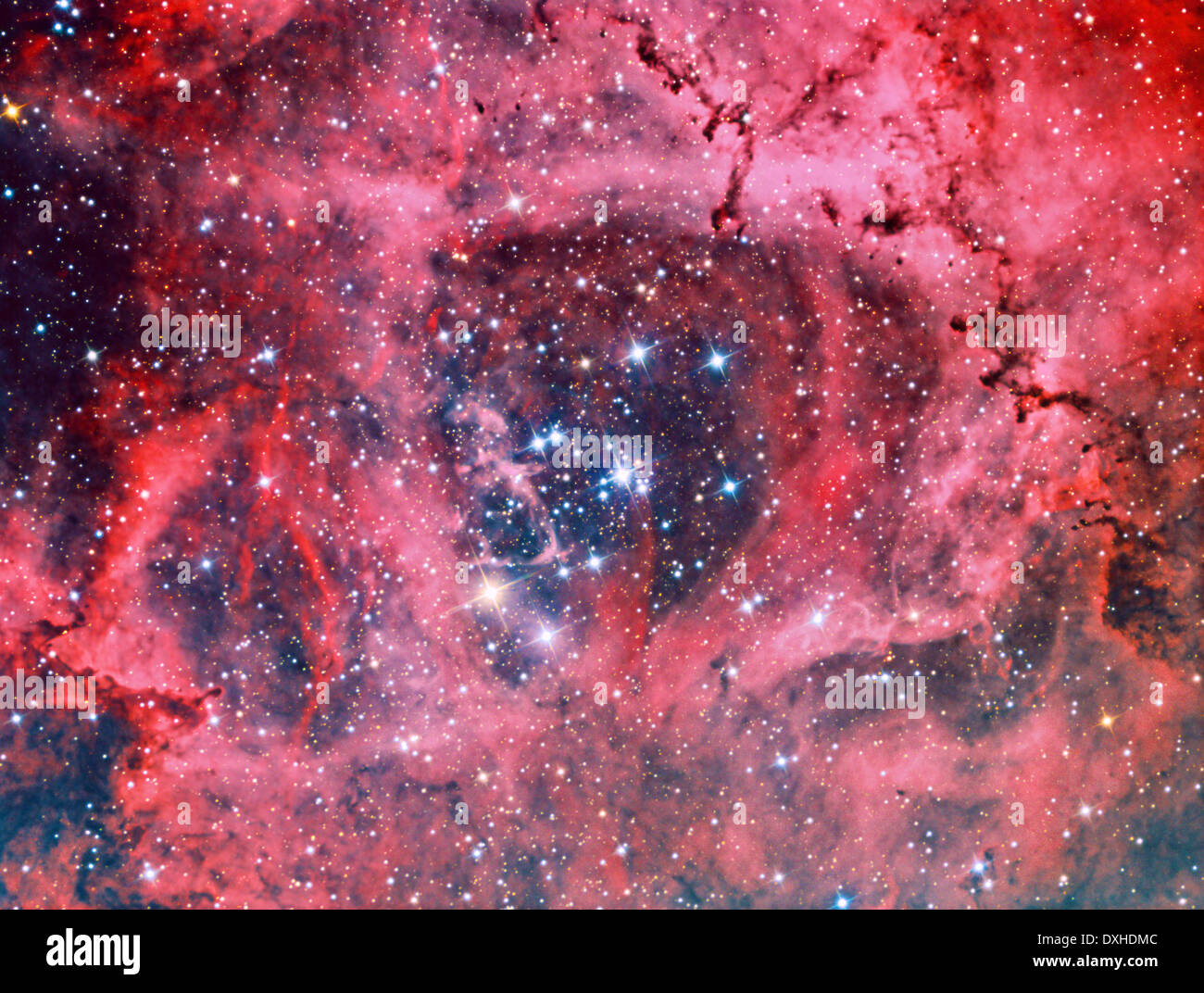 Rosette Nebula Wallpapers  Top Free Rosette Nebula Backgrounds   WallpaperAccess