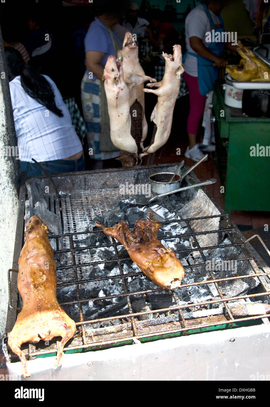 Marinated, roasted Cuy (Guinea Pig), a local delicacy, on a barbecue at the outdoor food market in Banios, Ecuador Stock Photo