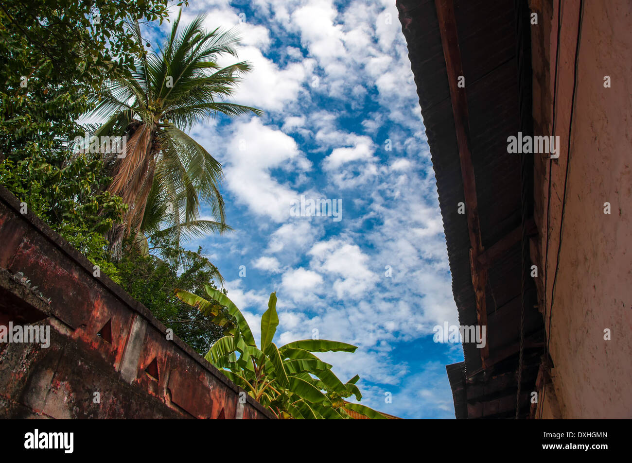 A blue sky and palm trees in the old town of Honda, Colombia Stock Photo