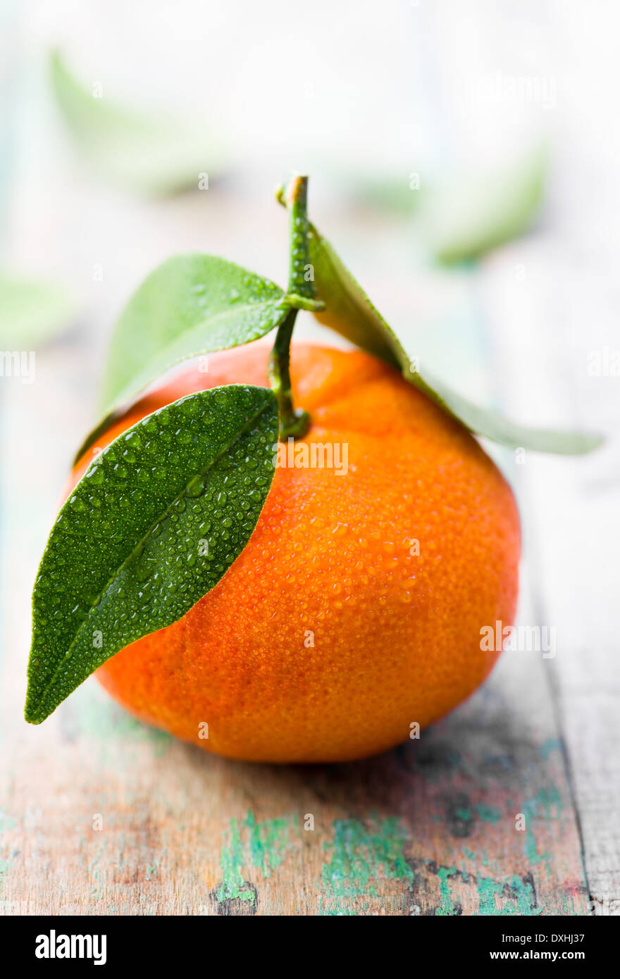 Clementine water hires stock photography and images Alamy