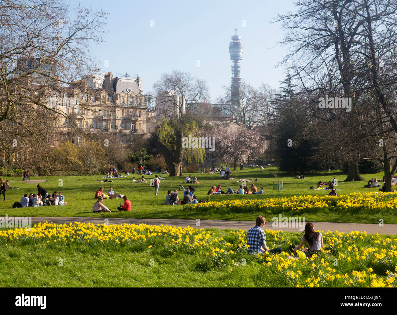 The Regent's Park in spring with daffodils and young couple in 20s sitting in foreground BT Tower in distance London England UK Stock Photo