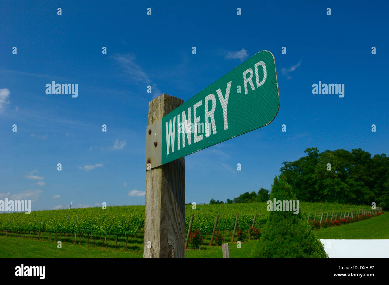 Winery road sign at the Barboursville Vineyard. Charlottesville. Piedmont region. Barboursville. Virginia. USA. Stock Photo