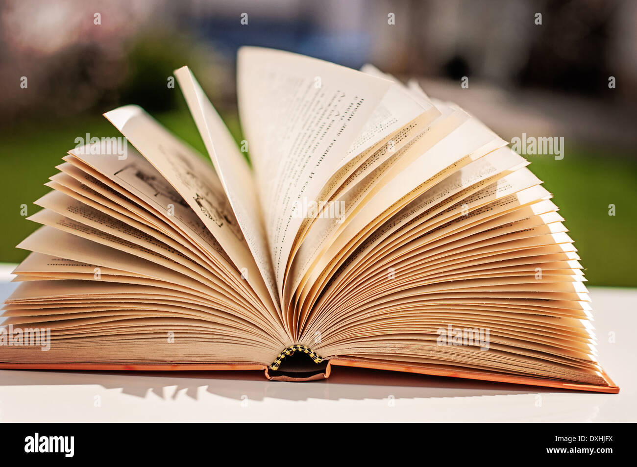 Open book on a white table in the garden Stock Photo