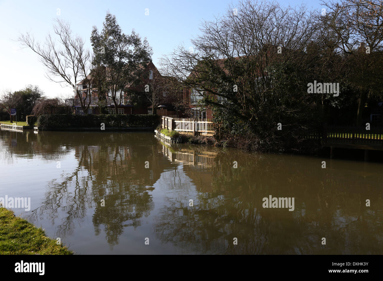 Canal side houses Stock Photo Alamy