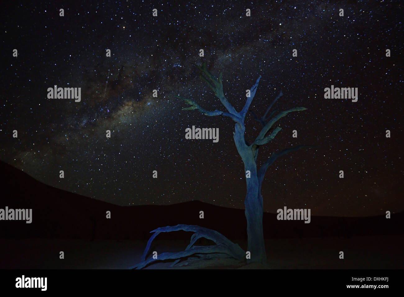 Deadvlei stars hi-res stock photography and images - Alamy