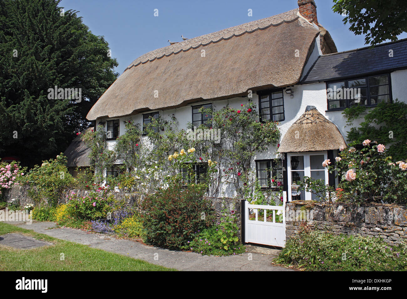 Perfect English thatch cottage in summer Stock Photo