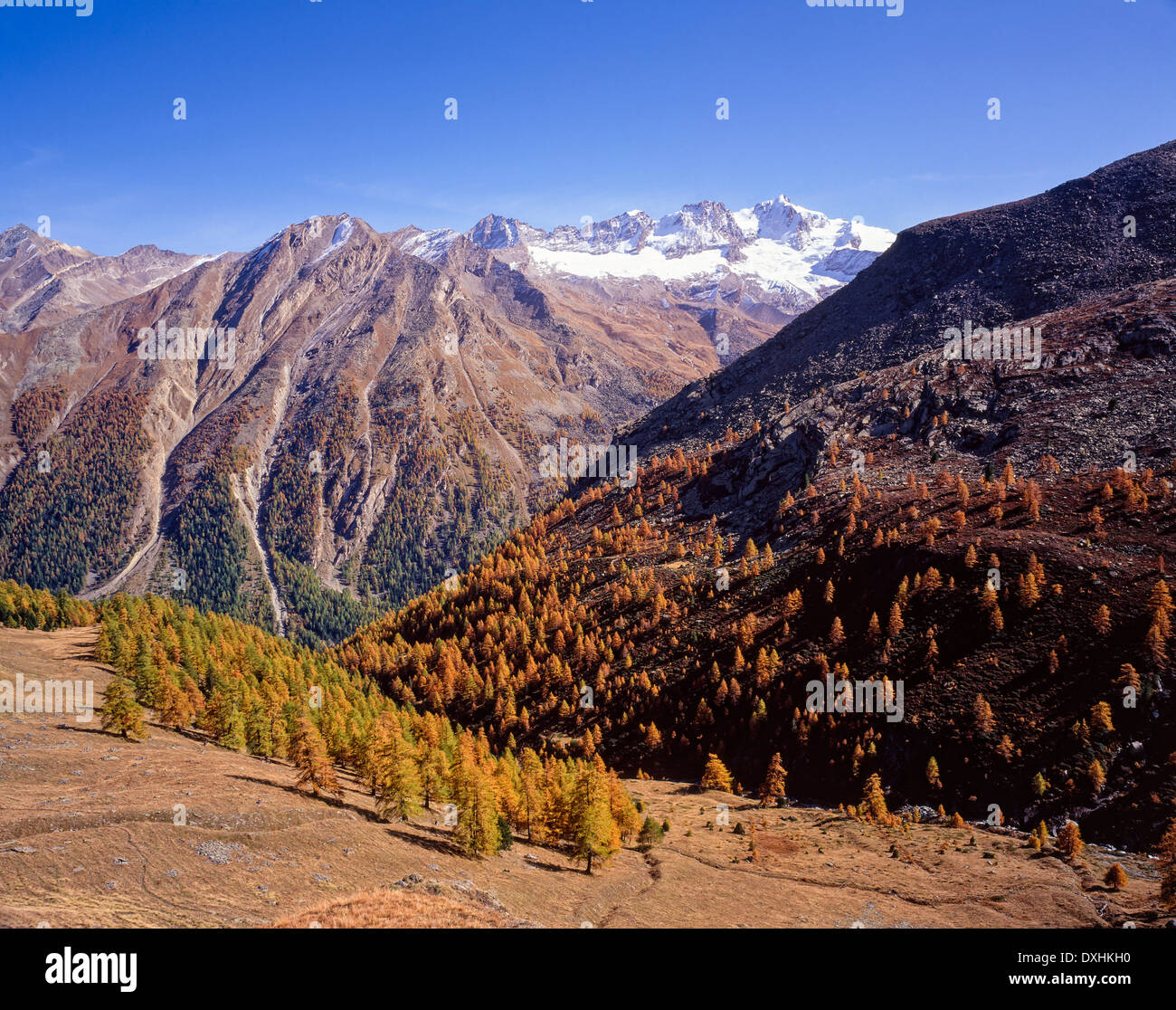 Valsavarenche il Parco Nazionale del Gran Paradiso Valle d Aosta Italy Stock Photo