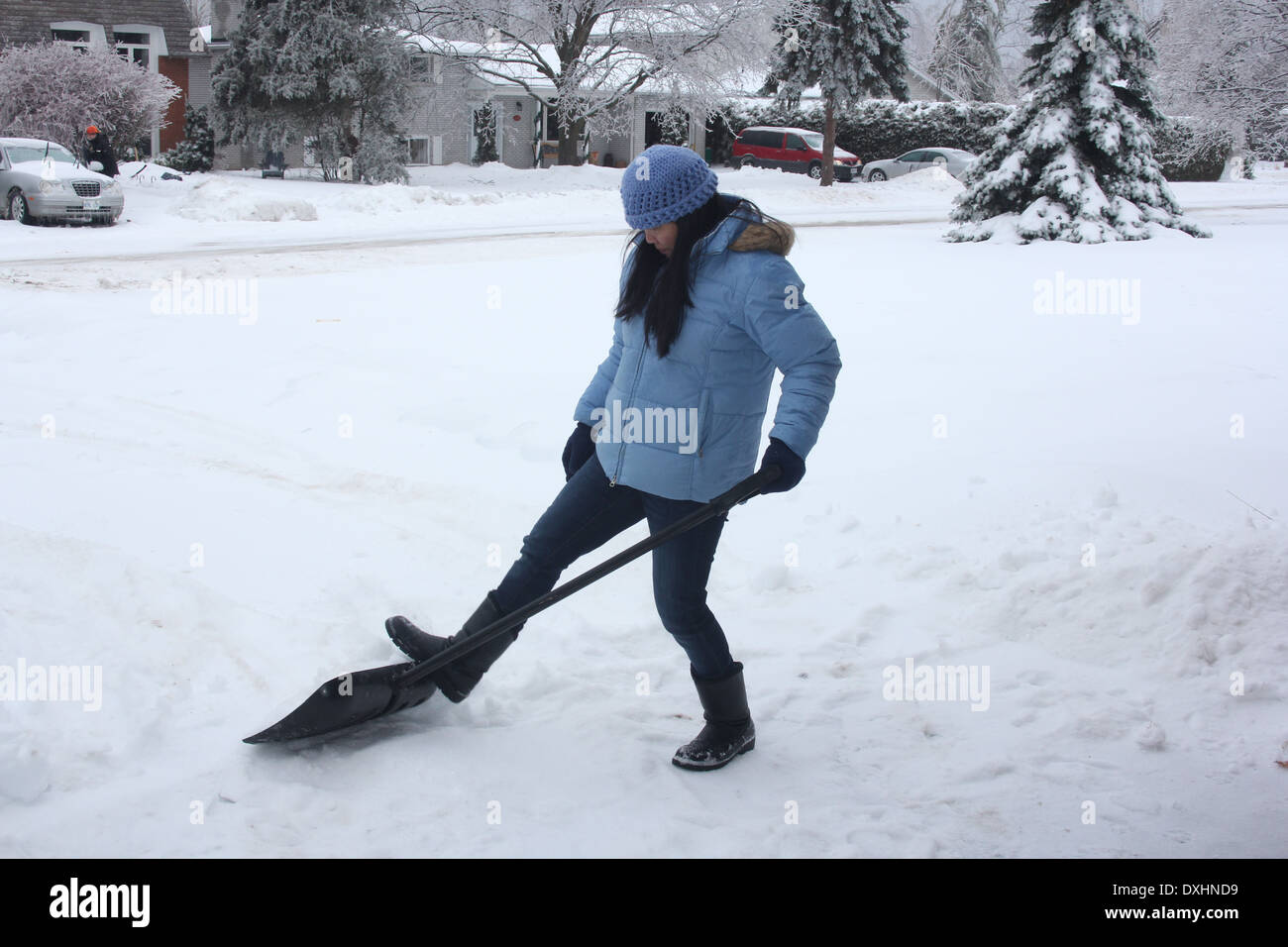 Lady shoveling snow off sidewalk after a snowfall. Stock Photo