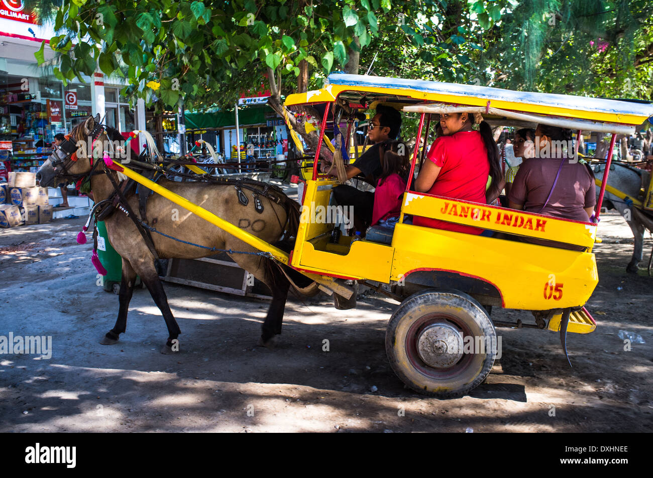 Cidomo Horse cart, traditional Gili Trawangan transportation medium, Indonesia, Asia Stock Photo
