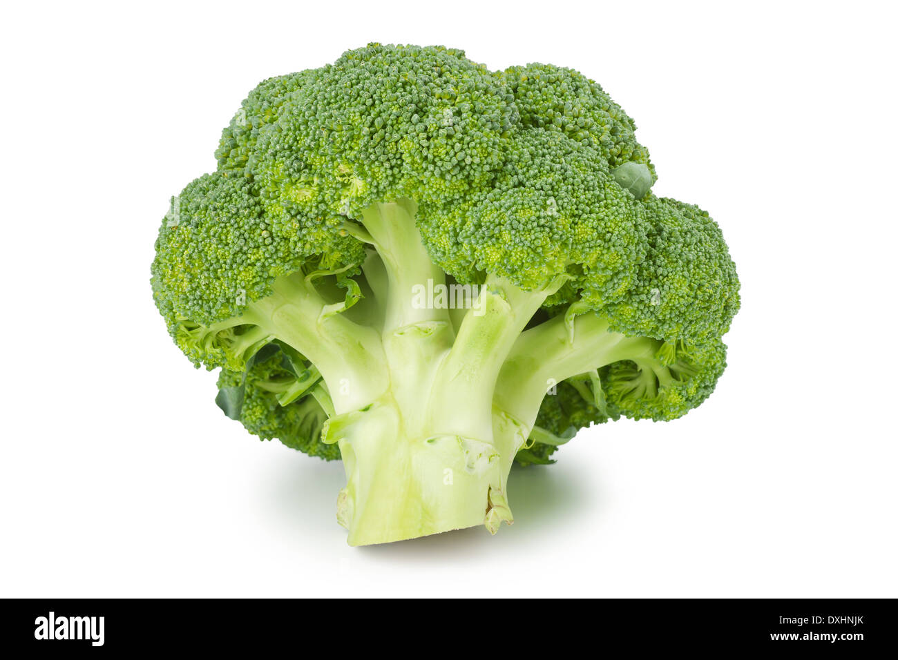 broccoli on white Stock Photo