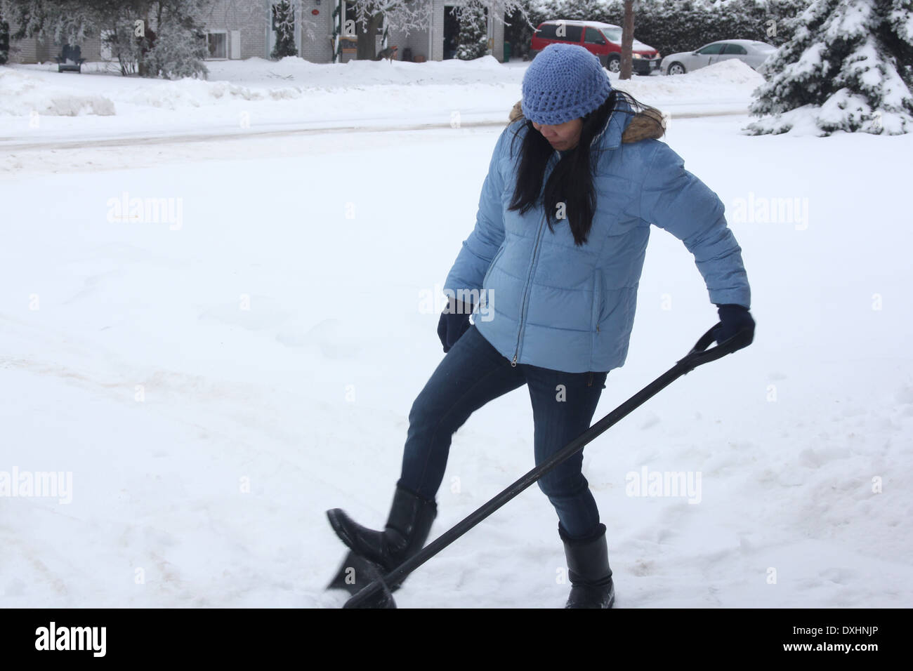 Lady shoveling snow off sidewalk after a snowfall. Stock Photo