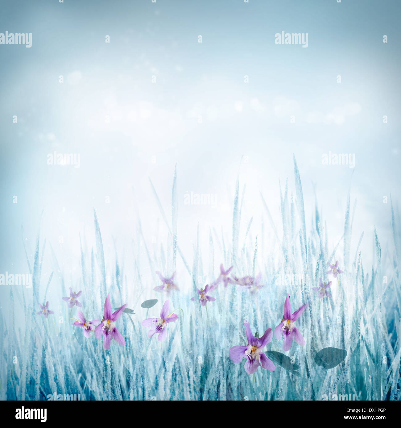 Design flowers background. Spring or summer floral nature background Stock  Photo - Alamy