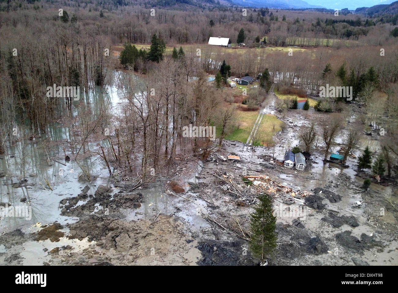 Aerial view of the landslide that blocked the Stillaguamish River burying State Route 530 and causing a massive mudslide killing at least fourteen people and destroying a small riverside village in northwestern Washington state March 22, 2014 in Oso, Washington. Officials report that 176 people are still missing and feared dead. Stock Photo