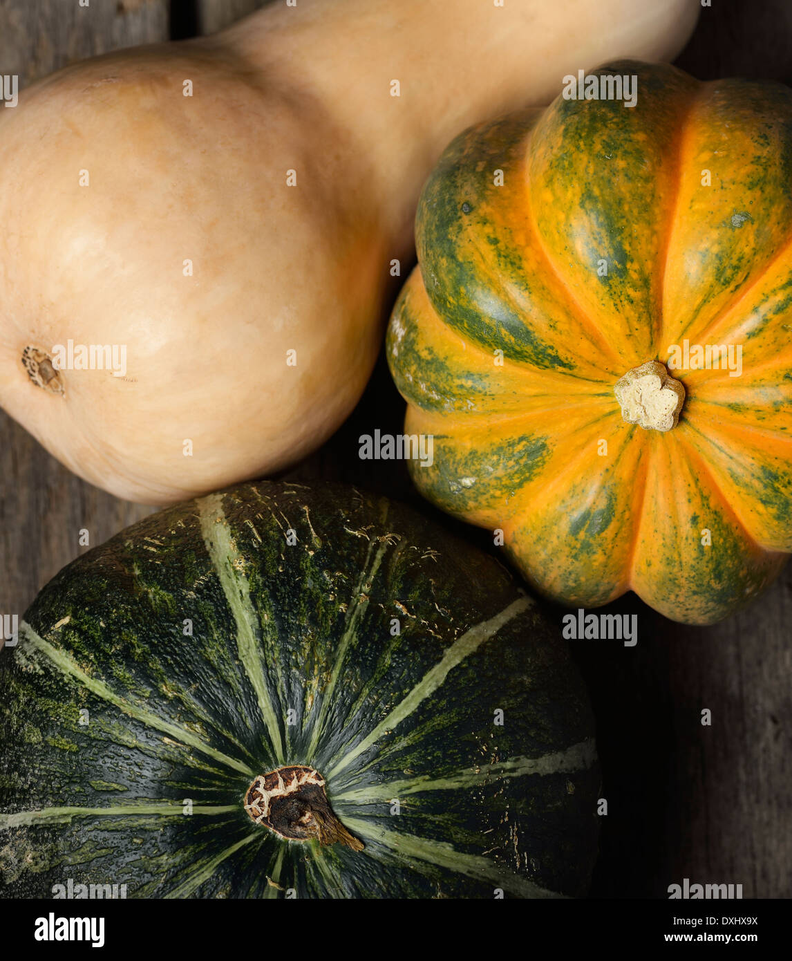Squash Collection,Top View Stock Photo