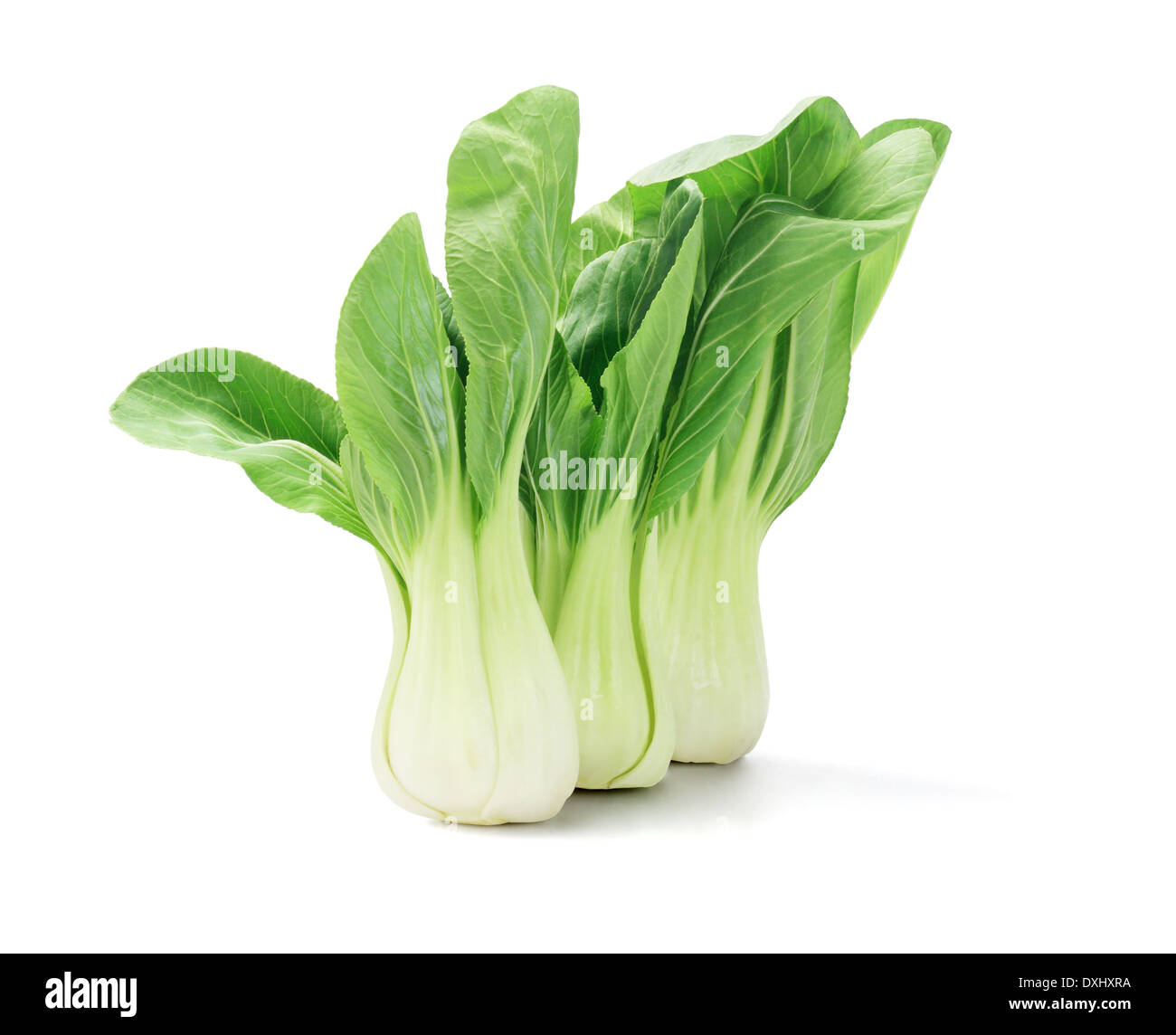 Green Fresh Chinese Cabbage On White Background Stock Photo