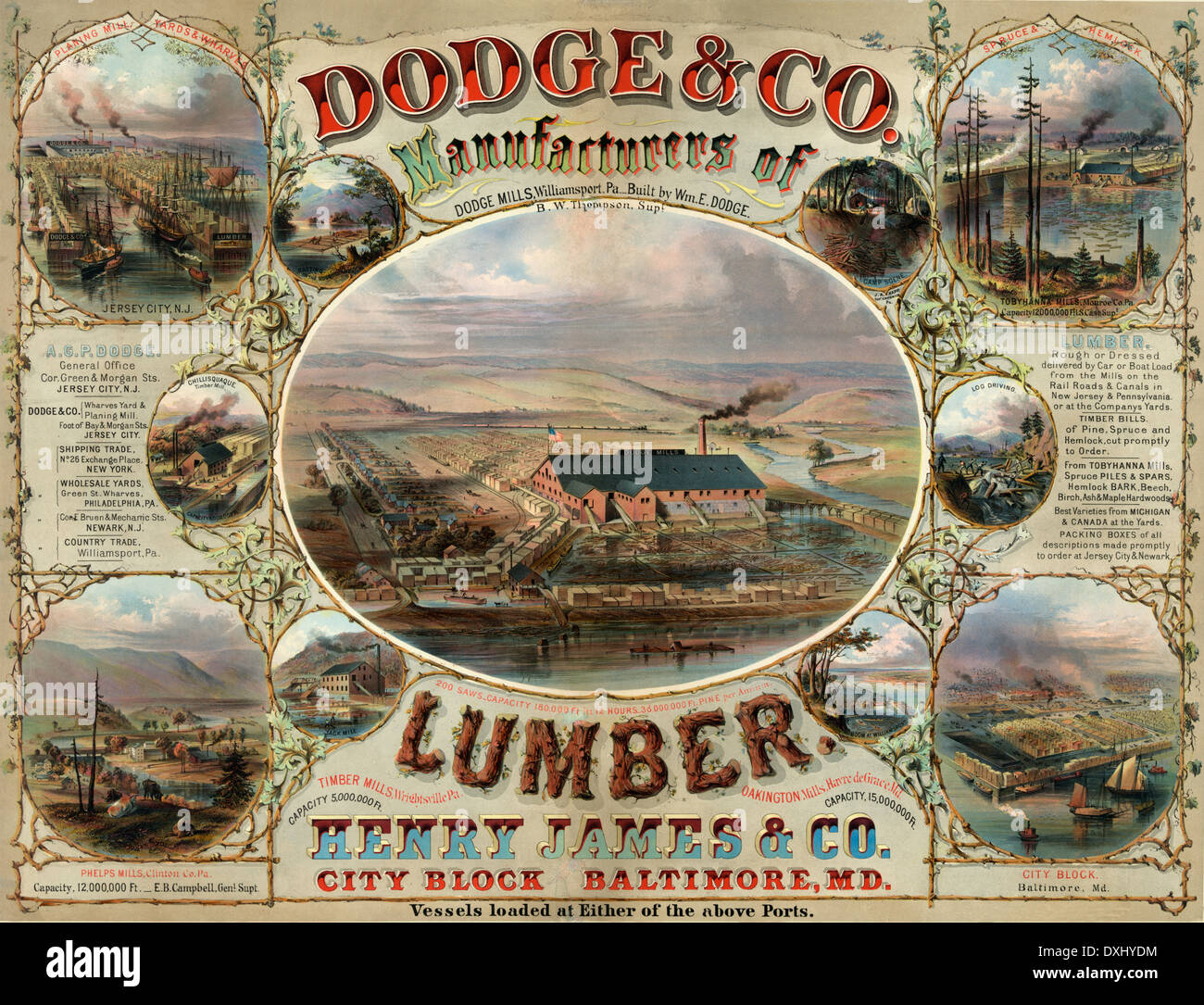 Lumber company hires stock photography and images Alamy