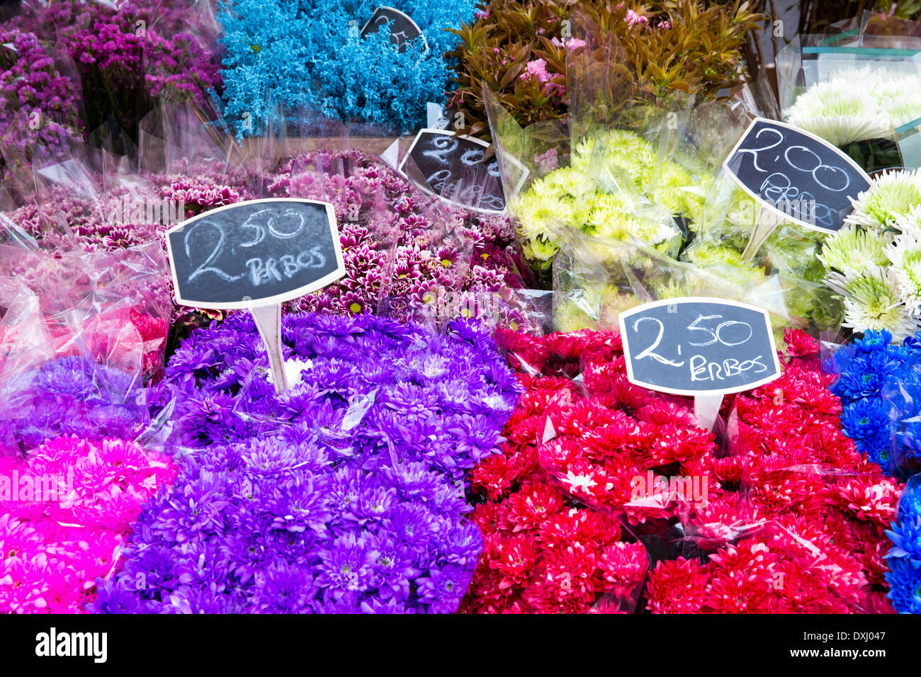 Bunches of flowers at the Albert Cuypmarkt in Amsterdam Stock Photo