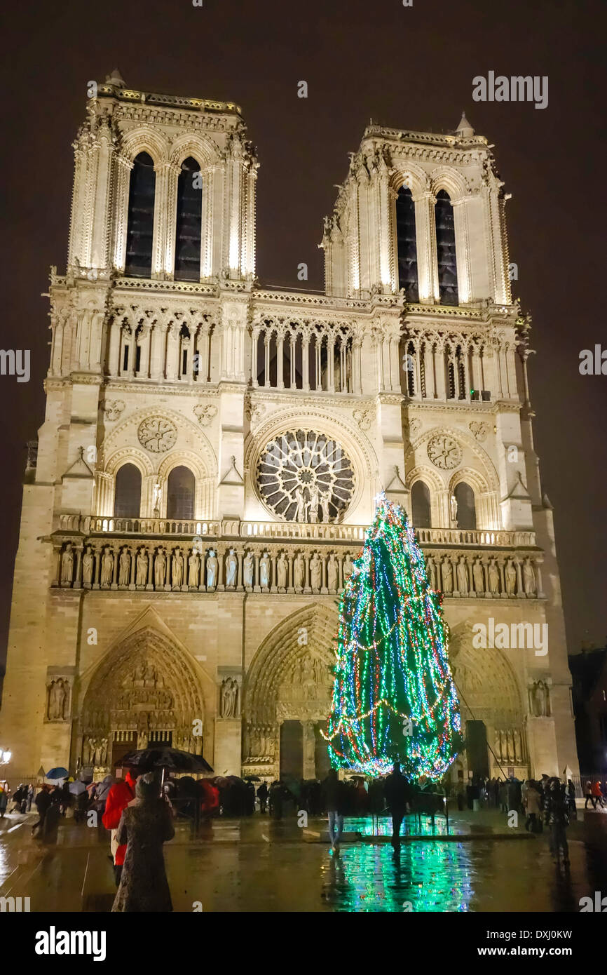 Christmas tree in front of Notre Dame de Paris, France Stock Photo