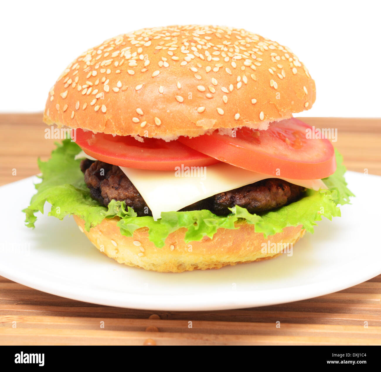 all white hamburgs