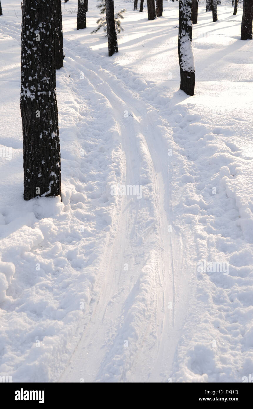 ski run in forest Stock Photo - Alamy