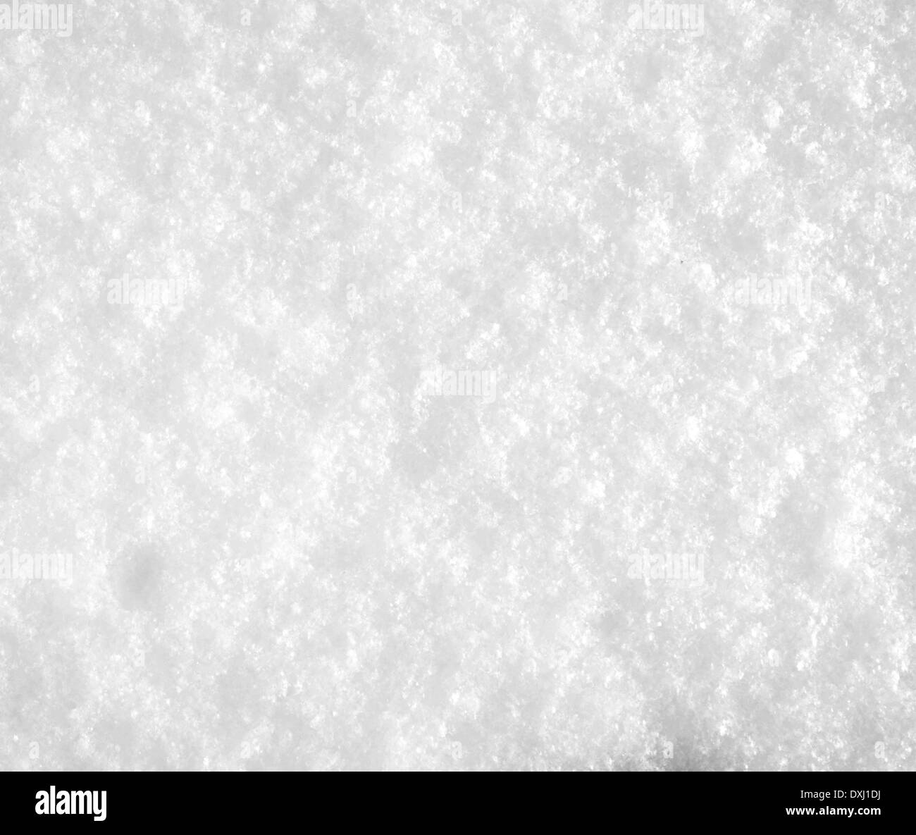 close up of fresh snow Stock Photo - Alamy