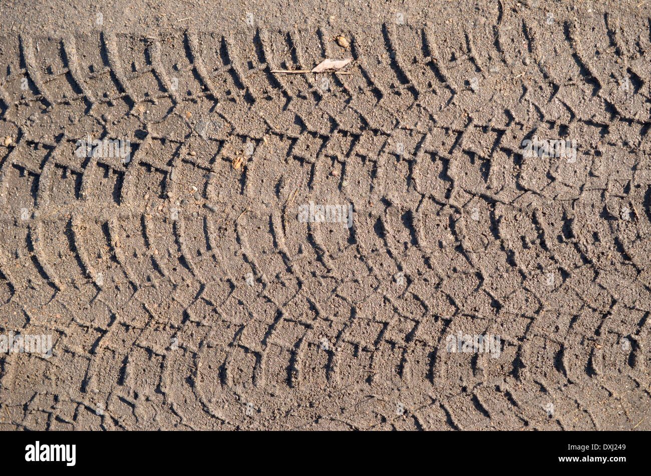 tire tracks in the mud Stock Photo Alamy
