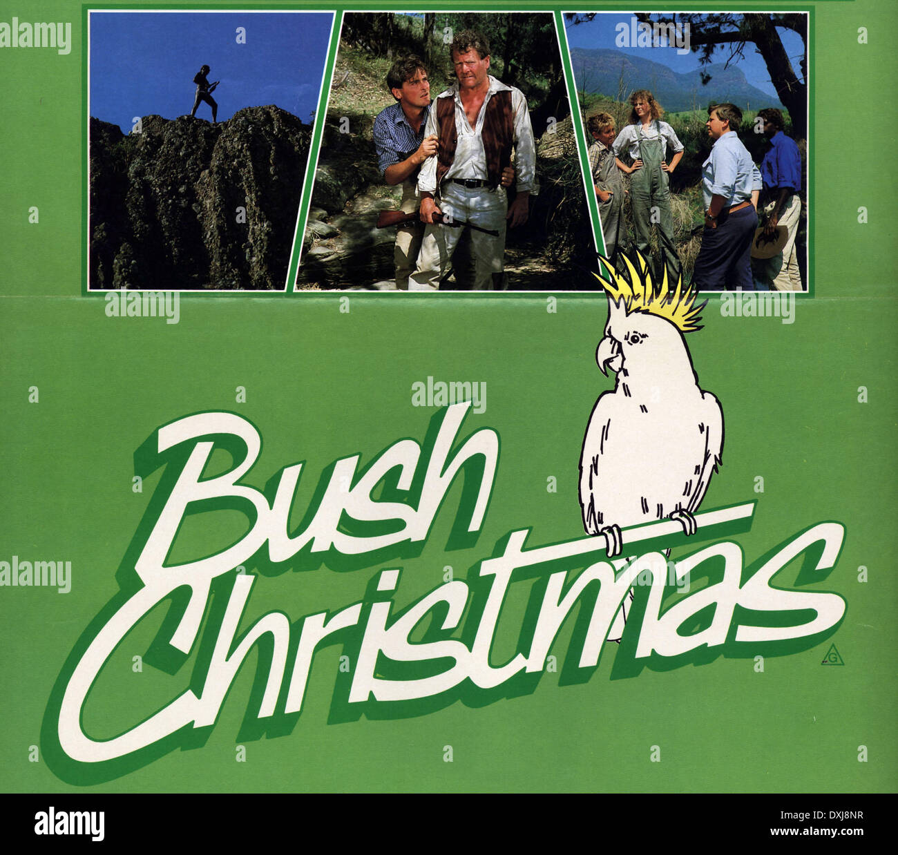 Australia Christmas Bush Stock Photos & Australia Christmas Bush Stock