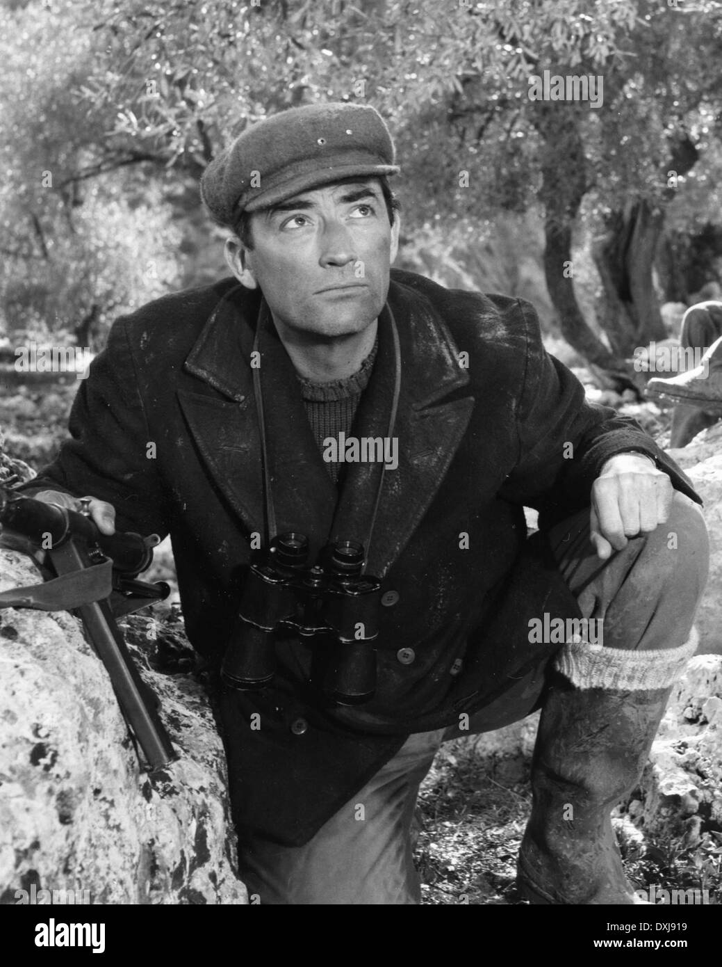 THE GUNS OF NAVARONE Stock Photo Alamy