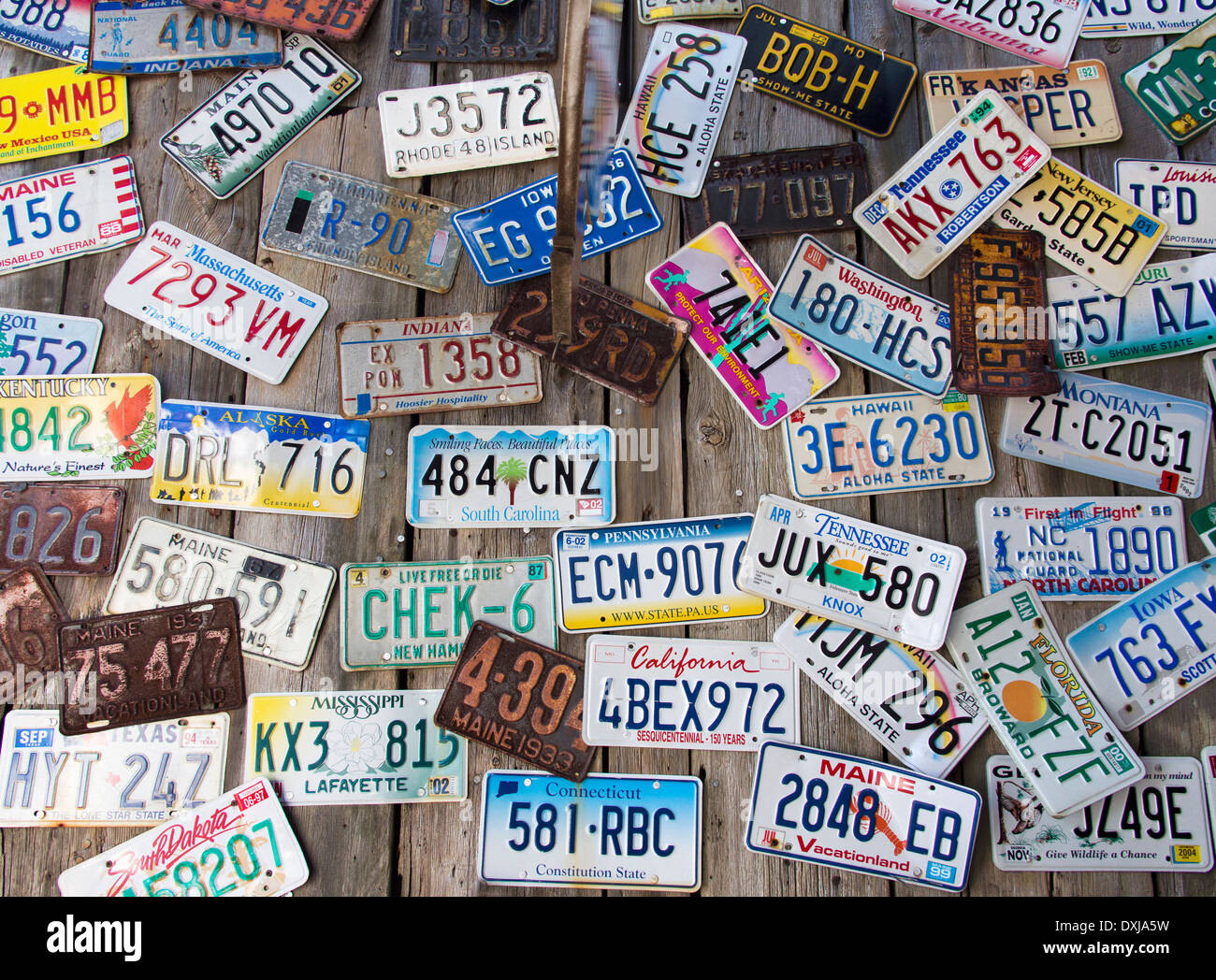 American car registration plates on display at a Bar Harbour restaurant