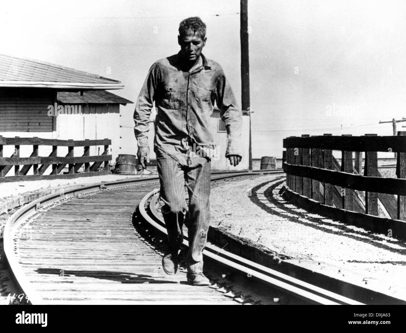 COOL HAND LUKE Stock Photo Alamy