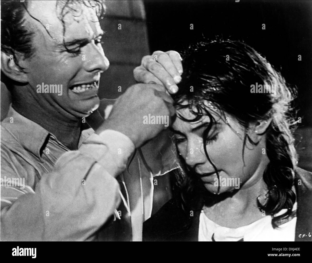 THE CRANES ARE FLYING Stock Photo Alamy