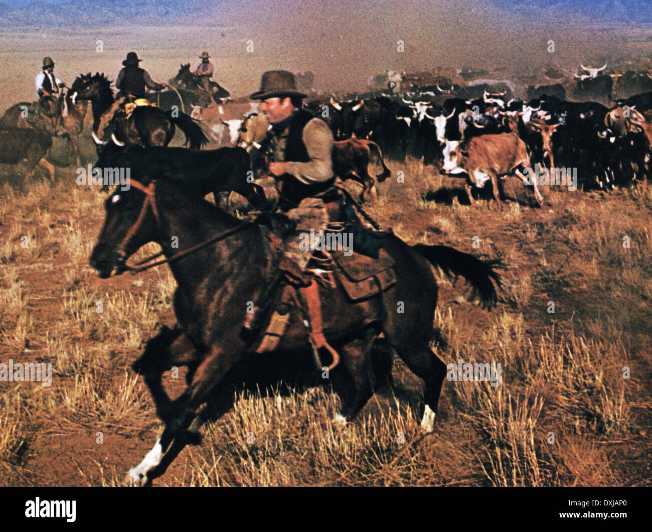 The culpepper cattle co hires stock photography and images Alamy