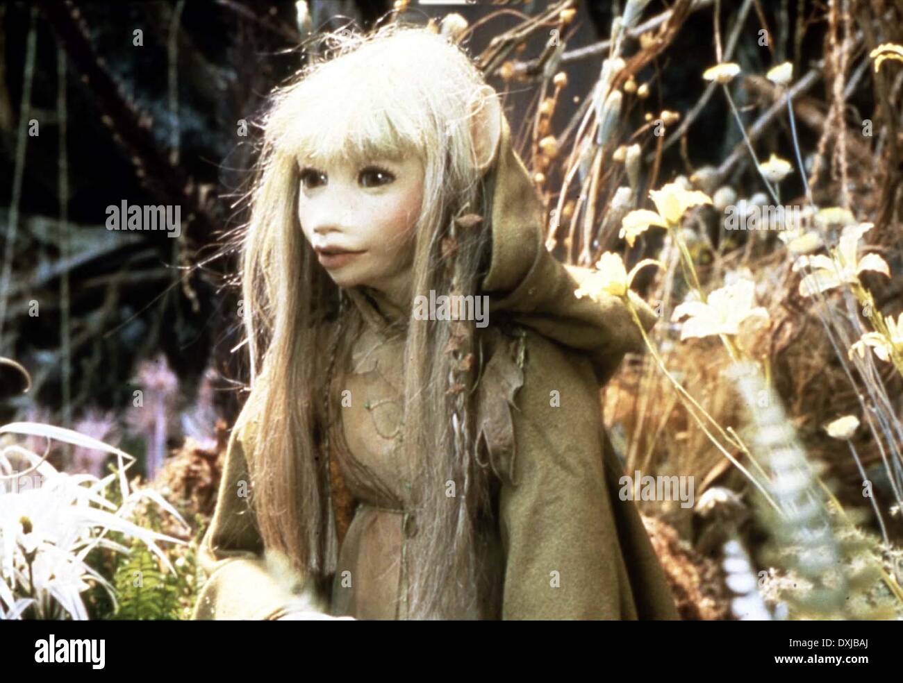 THE DARK CRYSTAL Stock Photo Alamy