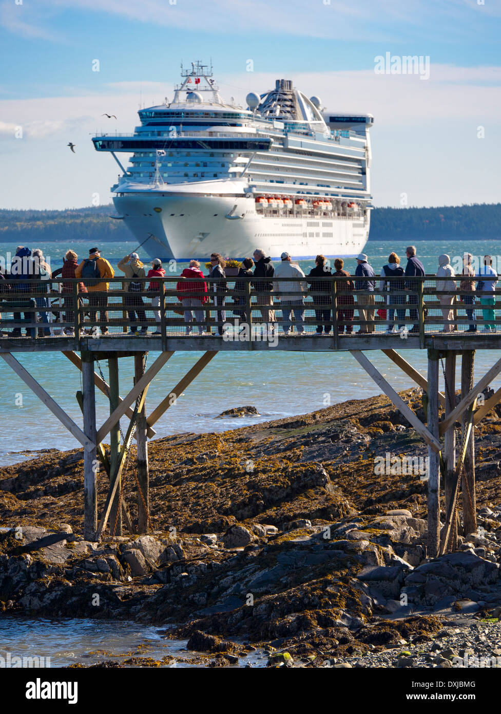 Cruise Liner Caribbean Princess moored off Bar Harbour Maine USA 8 Stock Photo