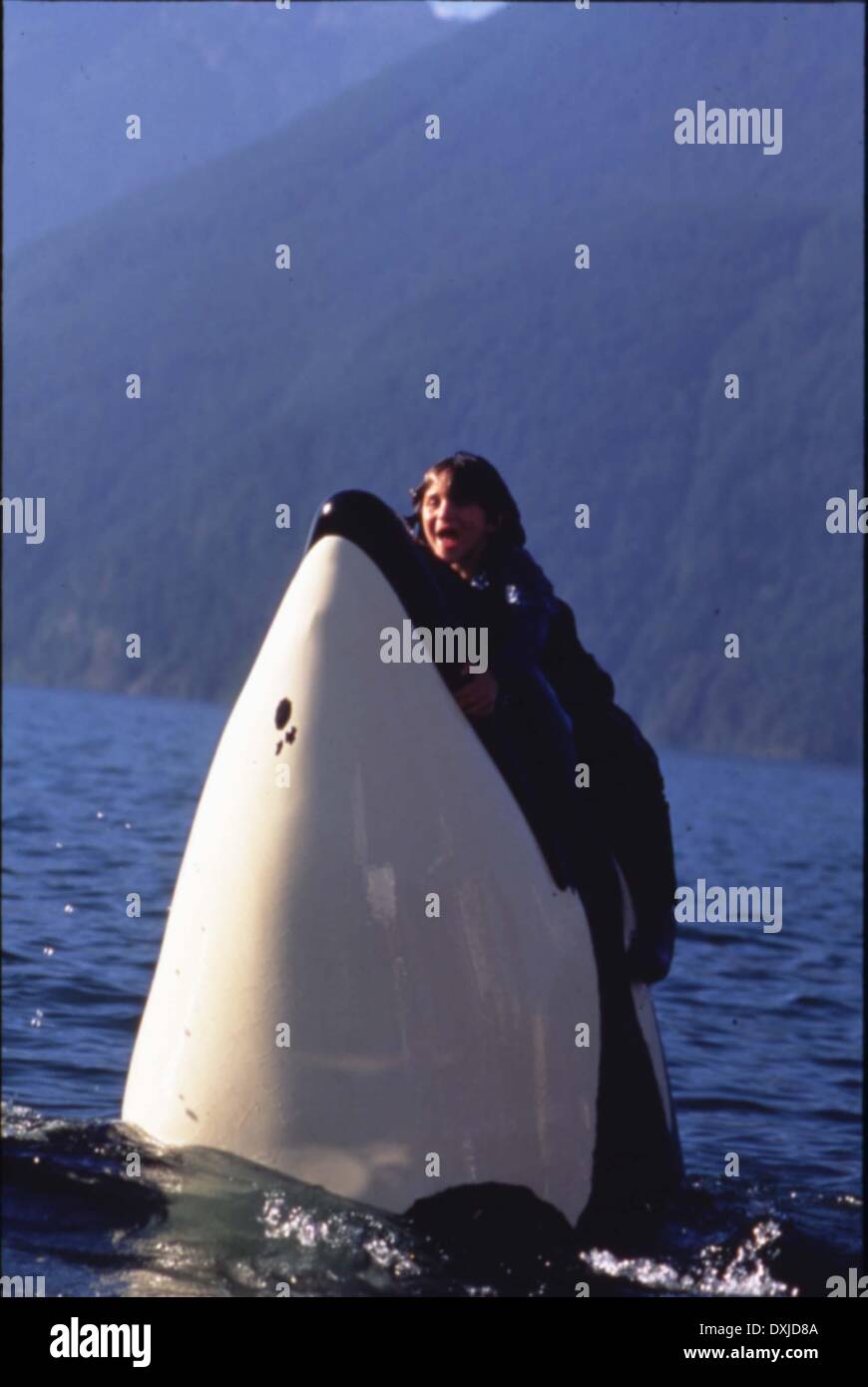 FREE WILLY 3 : THE RESCUE Stock Photo