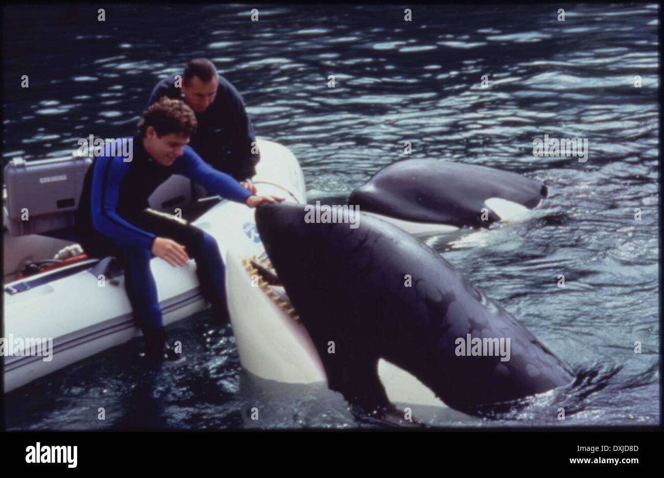 FREE WILLY 3 : THE RESCUE Stock Photo