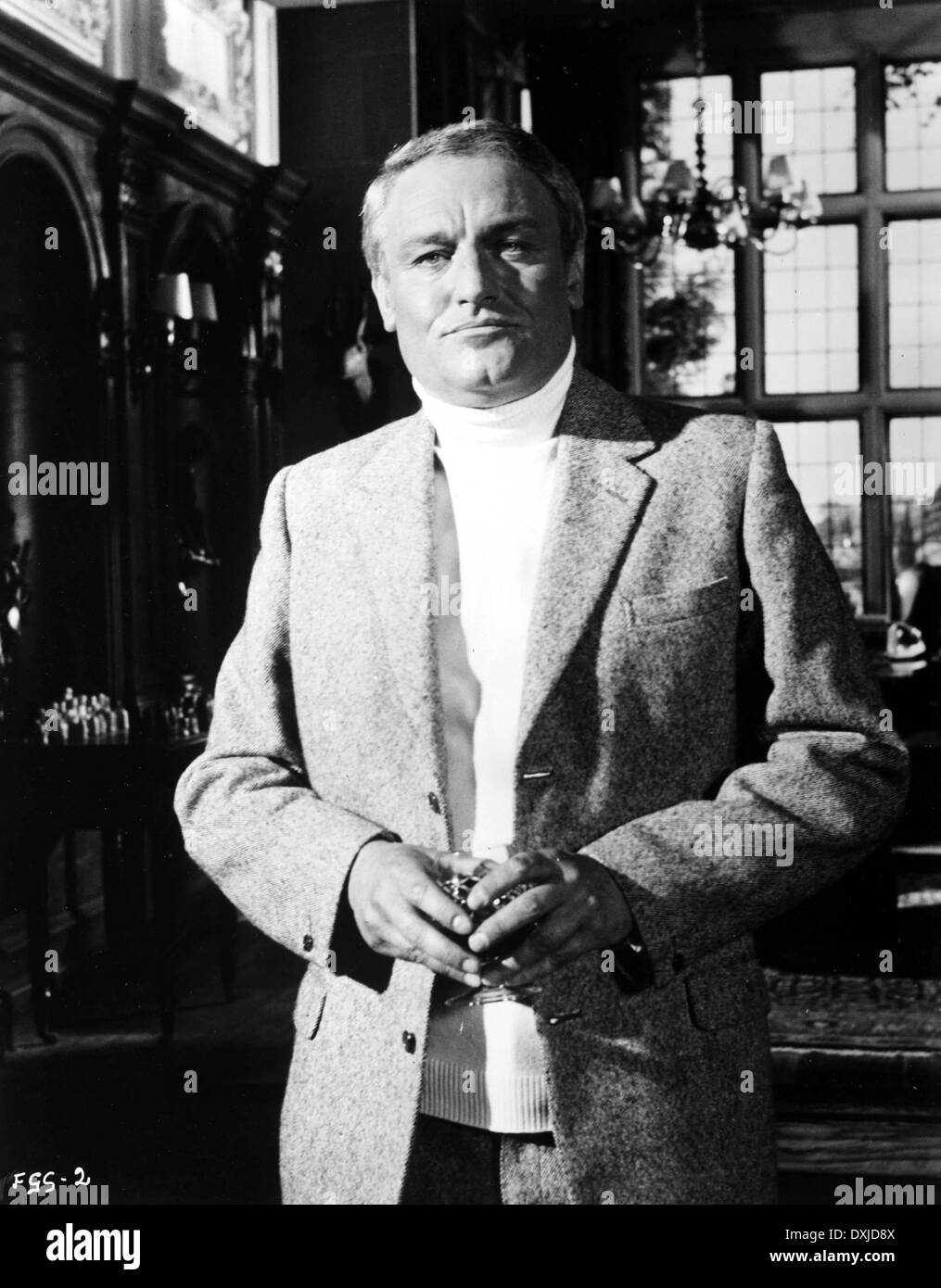 THE FILE OF THE GOLDEN GOOSE Stock Photo Alamy