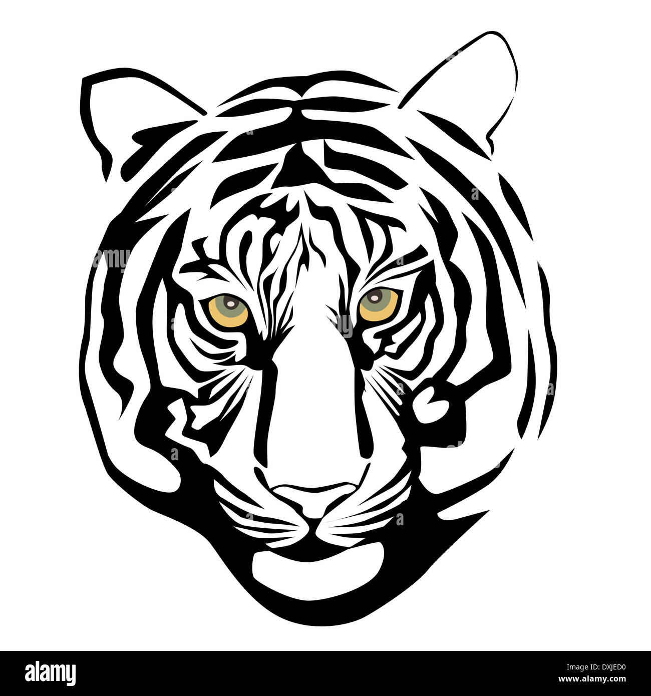 Illustration of tiger head Stock Photo Alamy