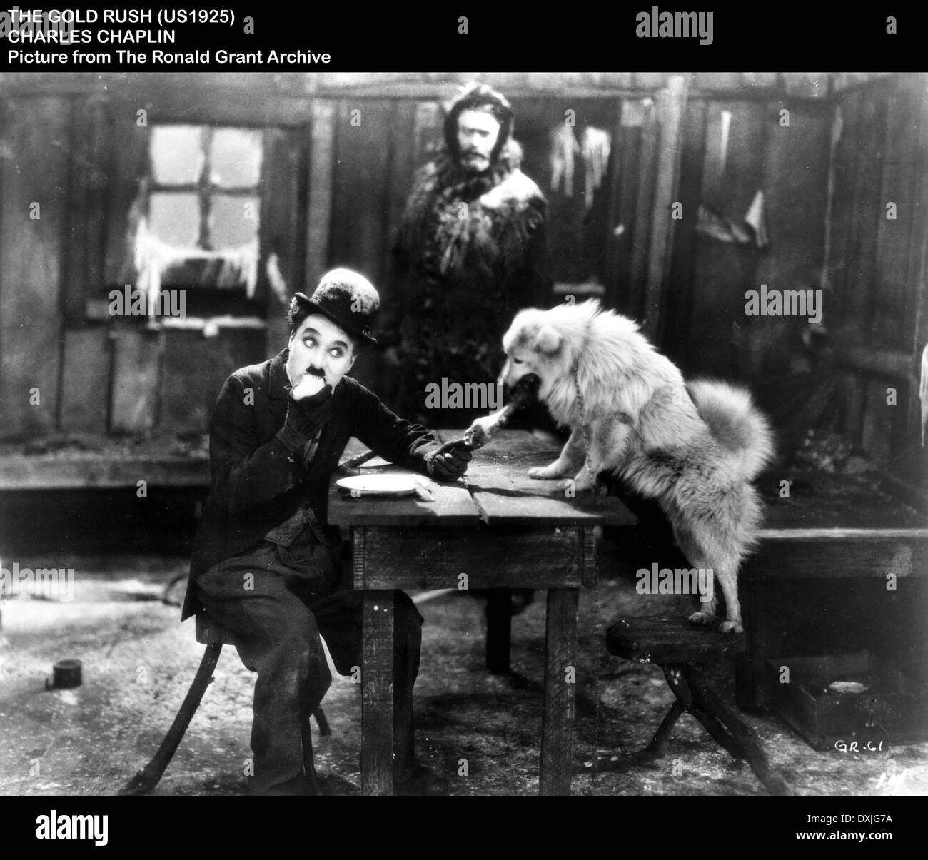 THE GOLD RUSH Stock Photo Alamy