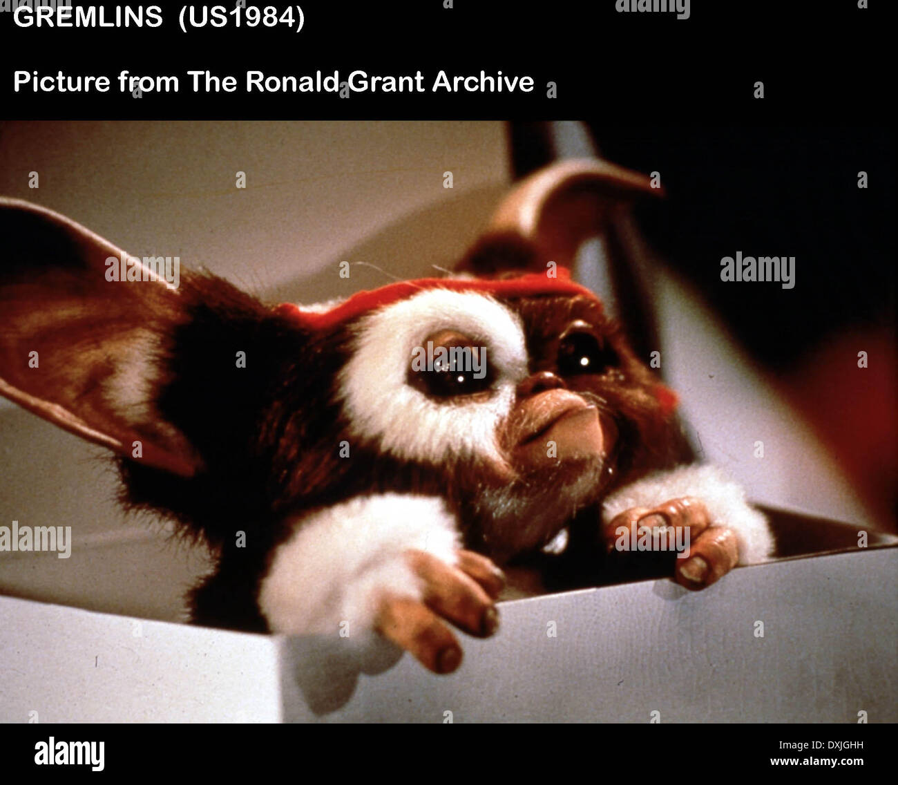 Gremlins film 1984 hi-res stock photography and images - Alamy