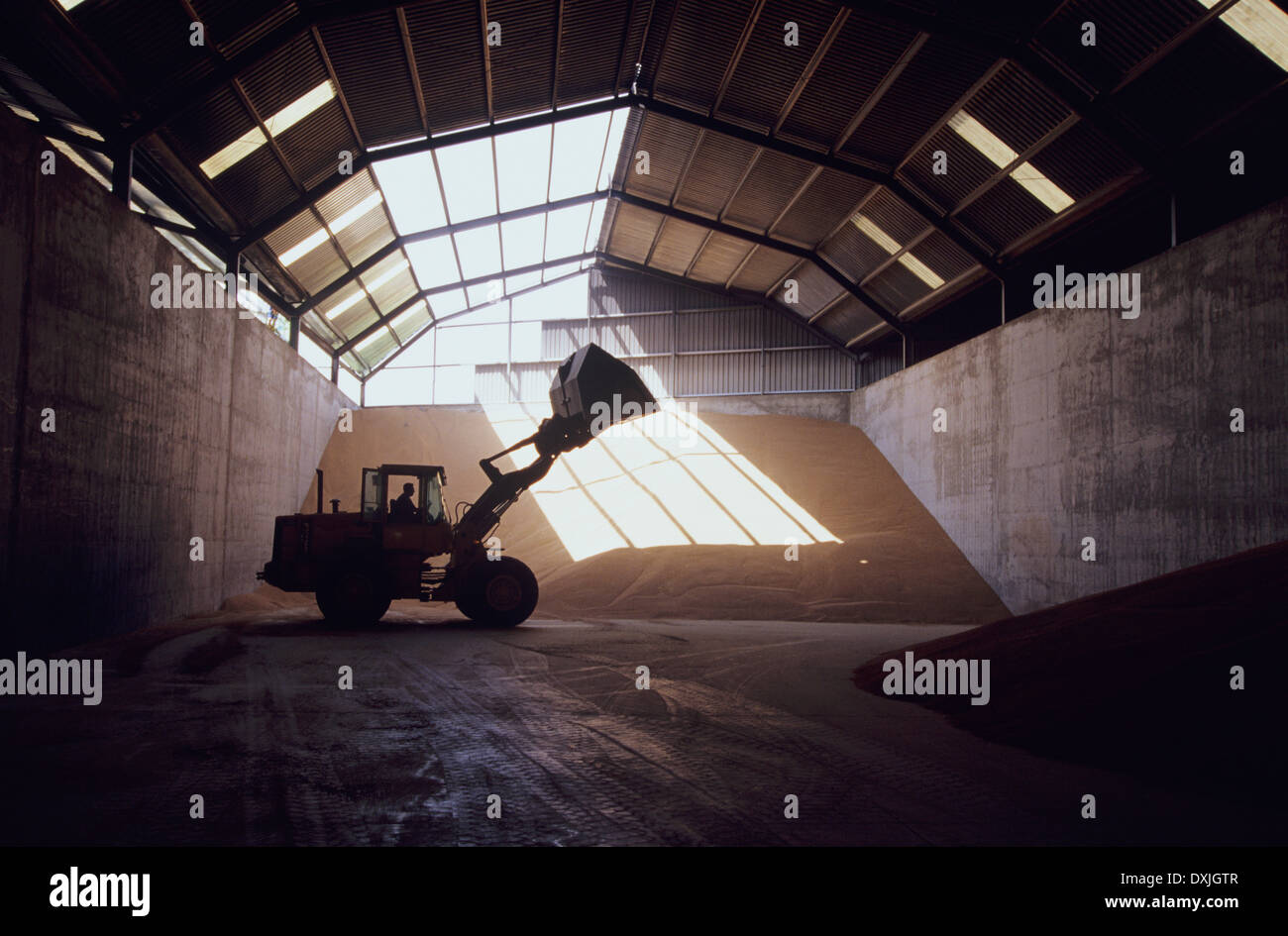 Front-end loader in grain warehouse Stock Photo