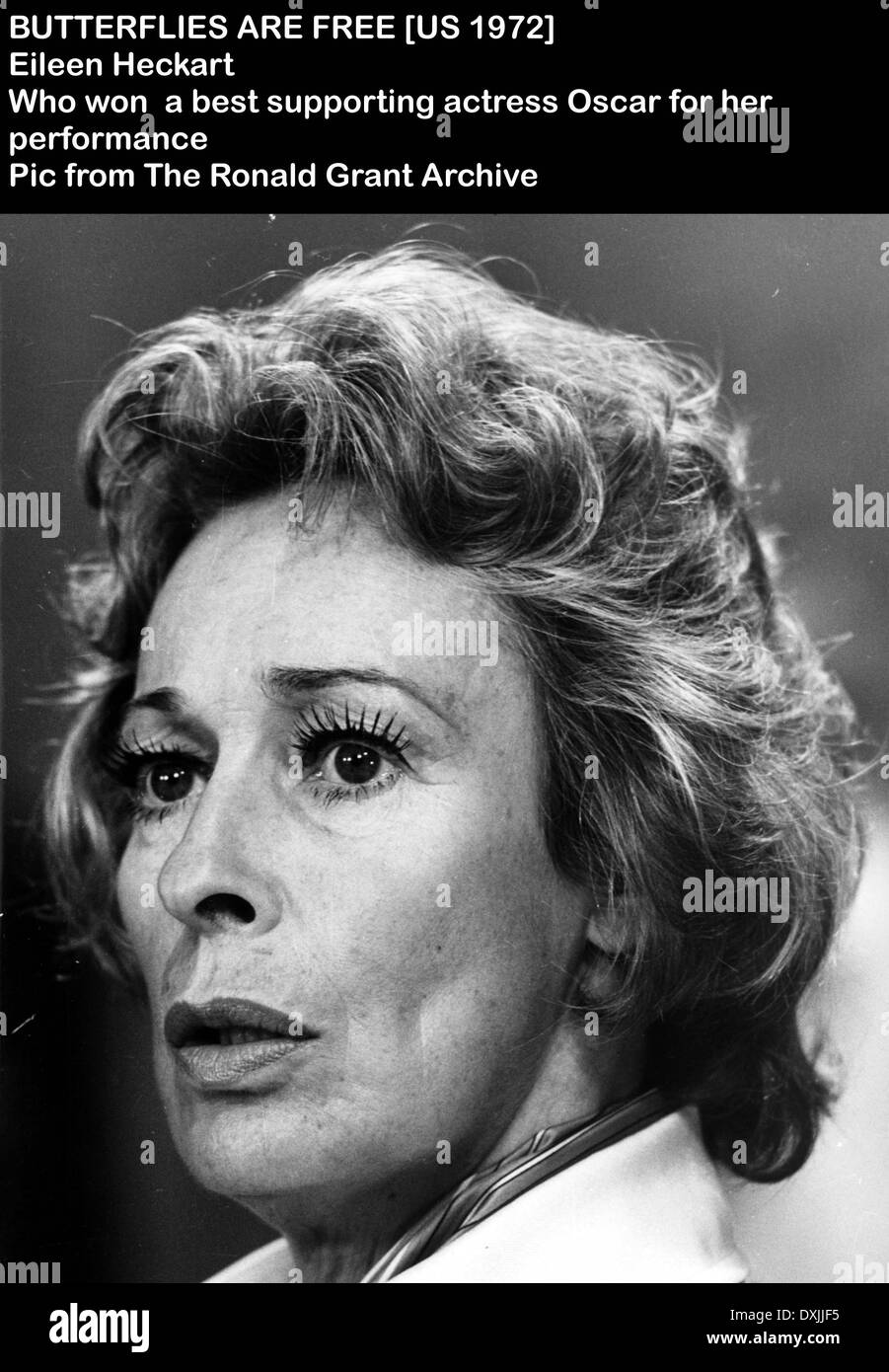 Forum on this topic: Nora Eddington, nora-eddington/ Discussion on this topic: Charlotte Rae, nora-eddington/