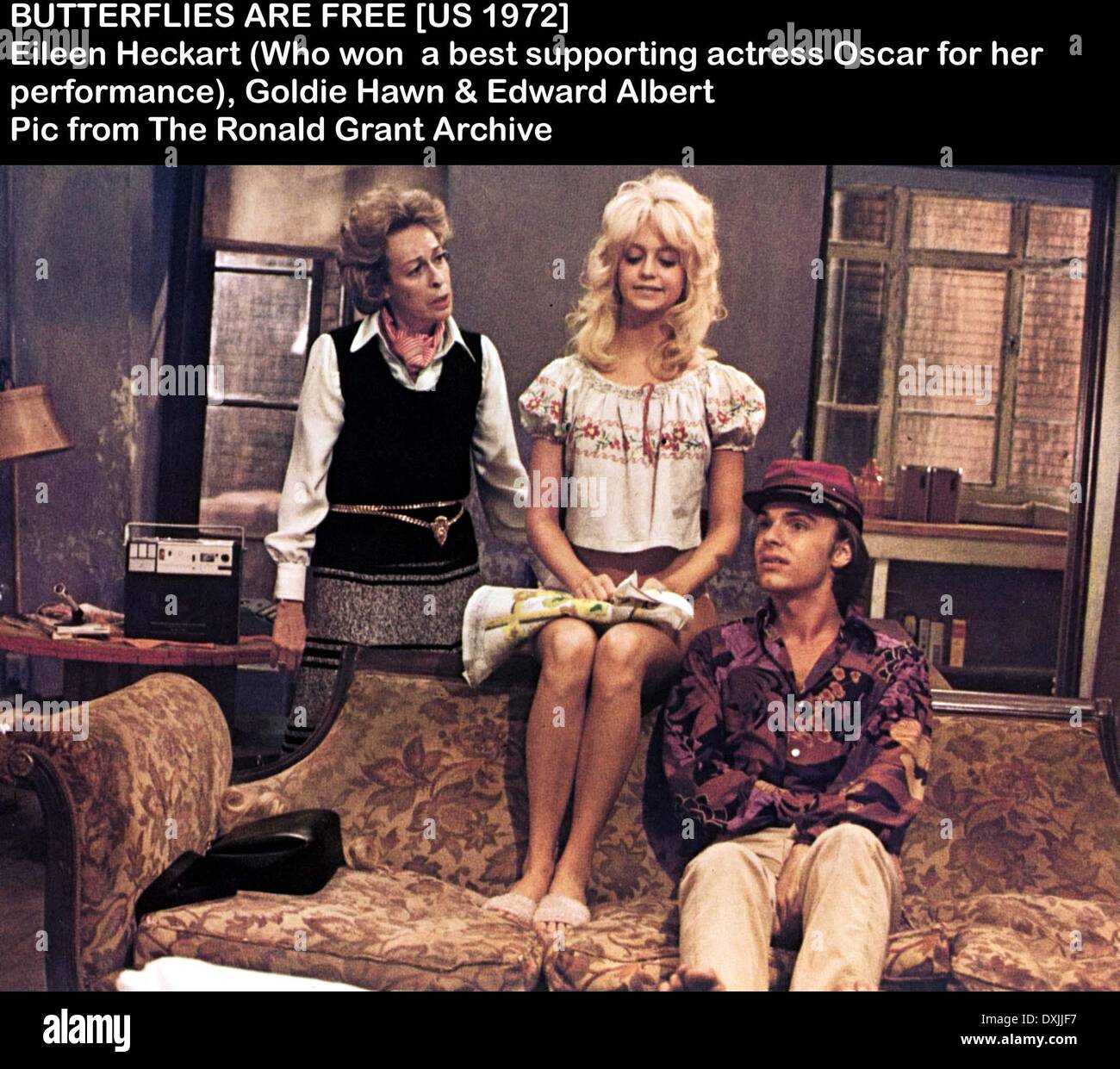 Butterflies are free goldie hires stock photography and images Alamy