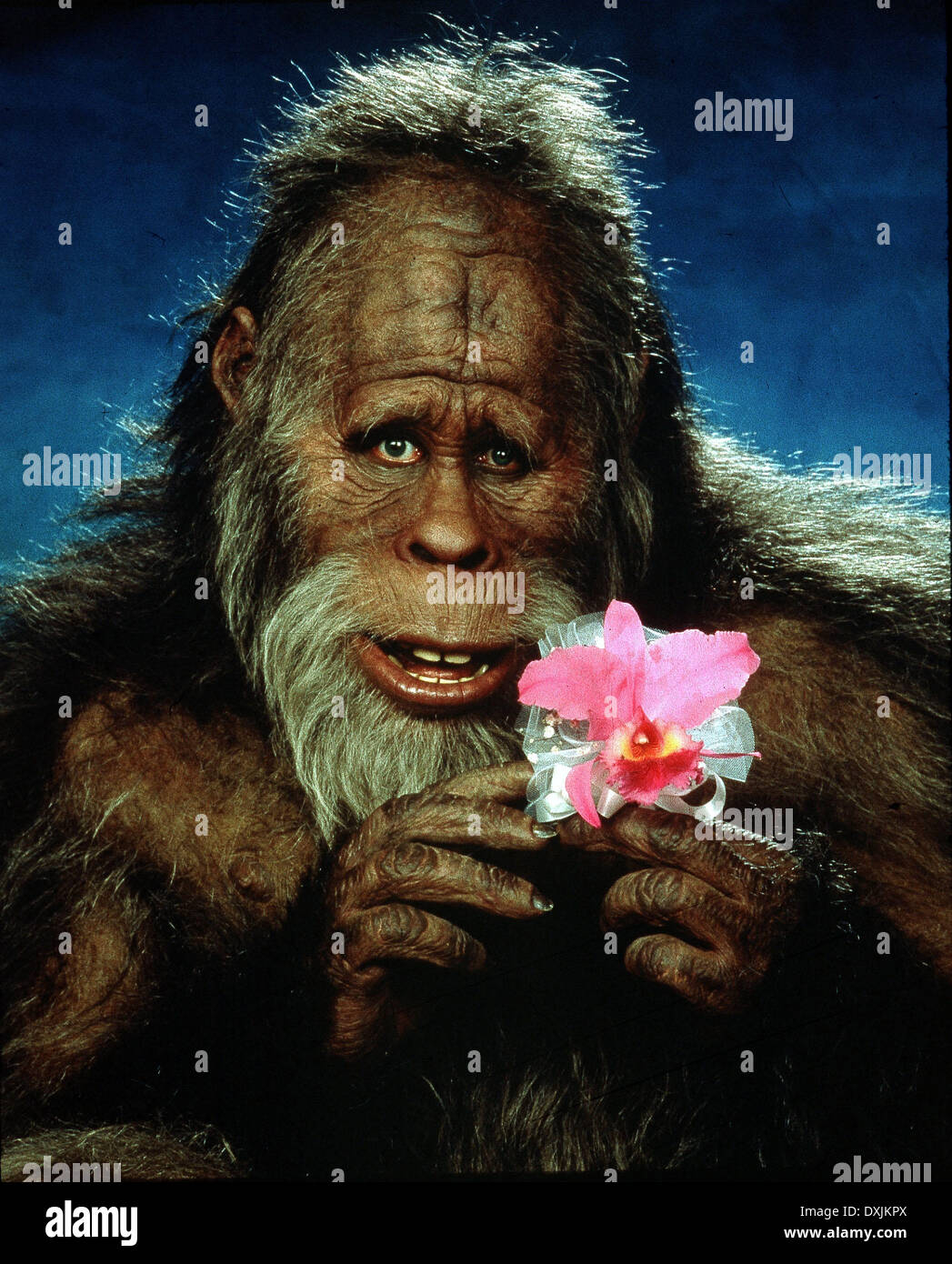 Harry and the hendersons hi-res stock photography and images - Alamy