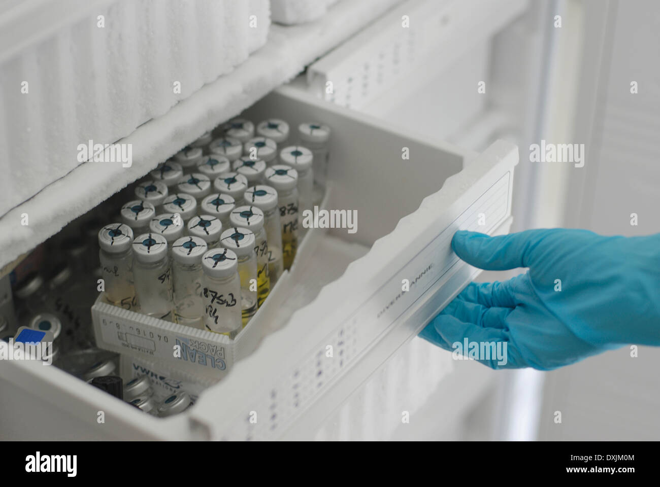 Body in freezer hi-res stock photography and images - Alamy