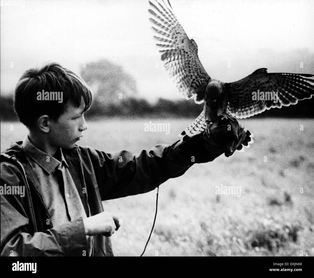 David bradley kes hi-res stock photography and images - Alamy