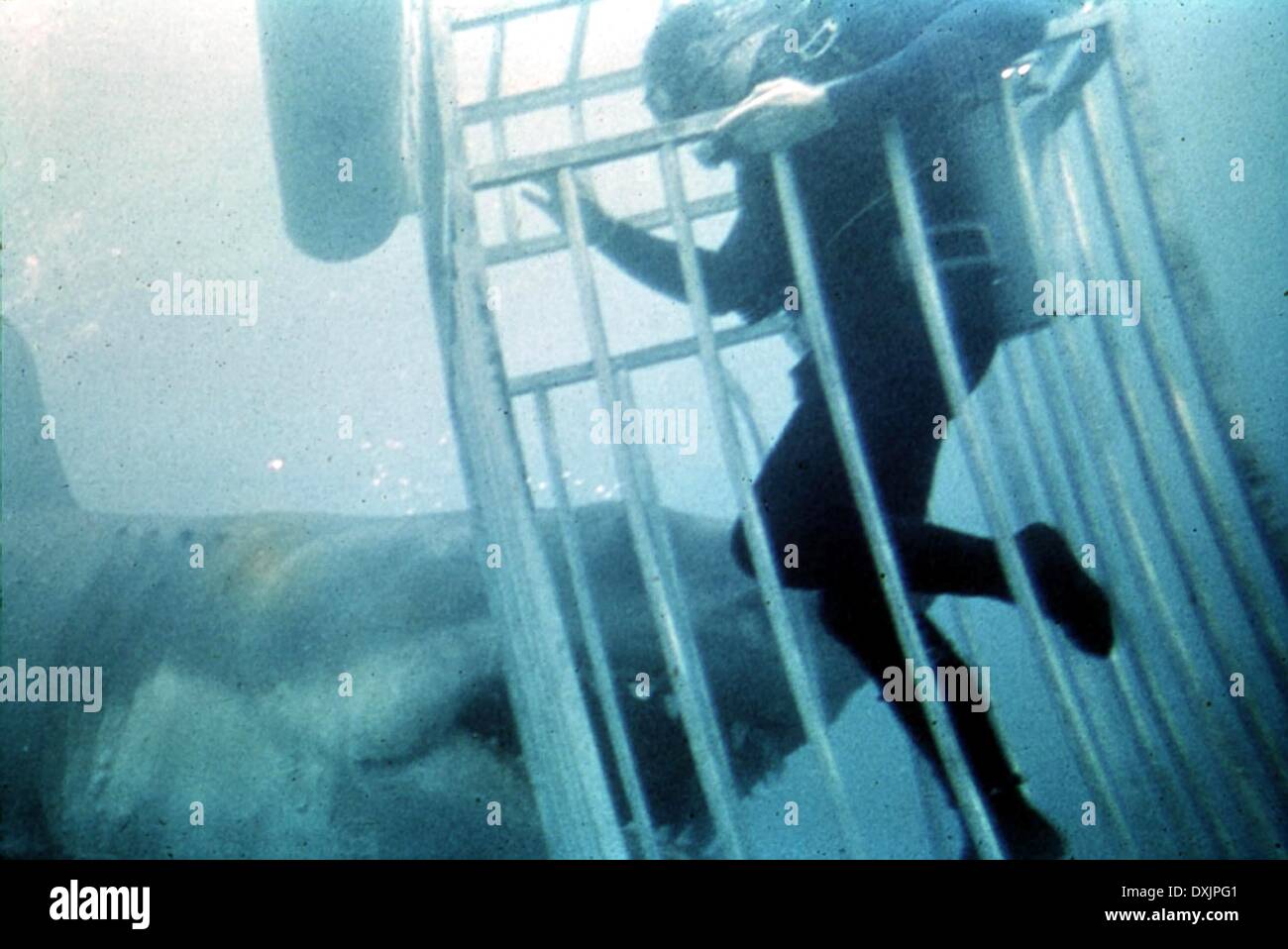Jaws Film Still High Resolution Stock Photography and Images - Alamy