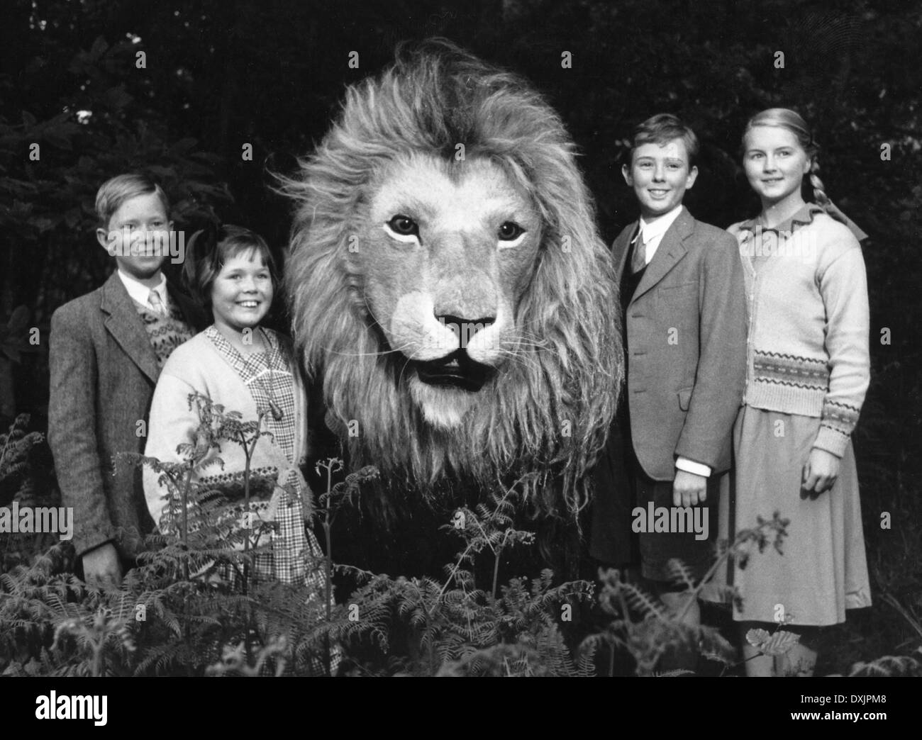 The Lion The Witch And The Wardrobe Stock Photo 68025112 Alamy