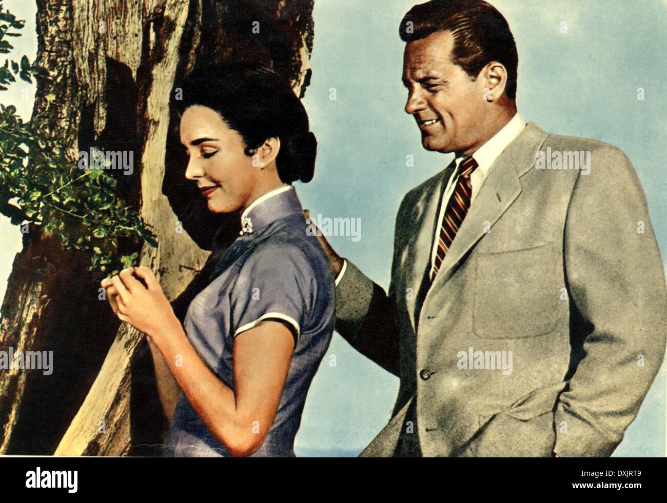 Sportininkas Deguonies Lempa Love Is A Many Splendored Thing Florencepoetssociety Org Sportininkas Deguonies Lempa Love Is A Many Splendored Thing Florencepoetssociety Org