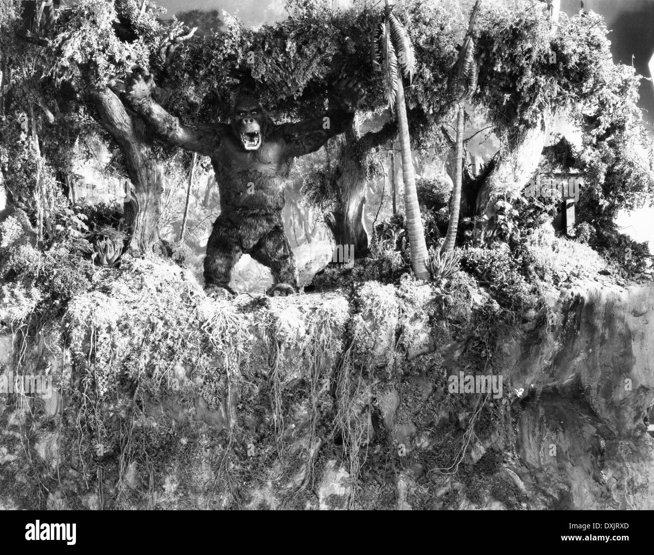 Rko 1933 hires stock photography and images Alamy